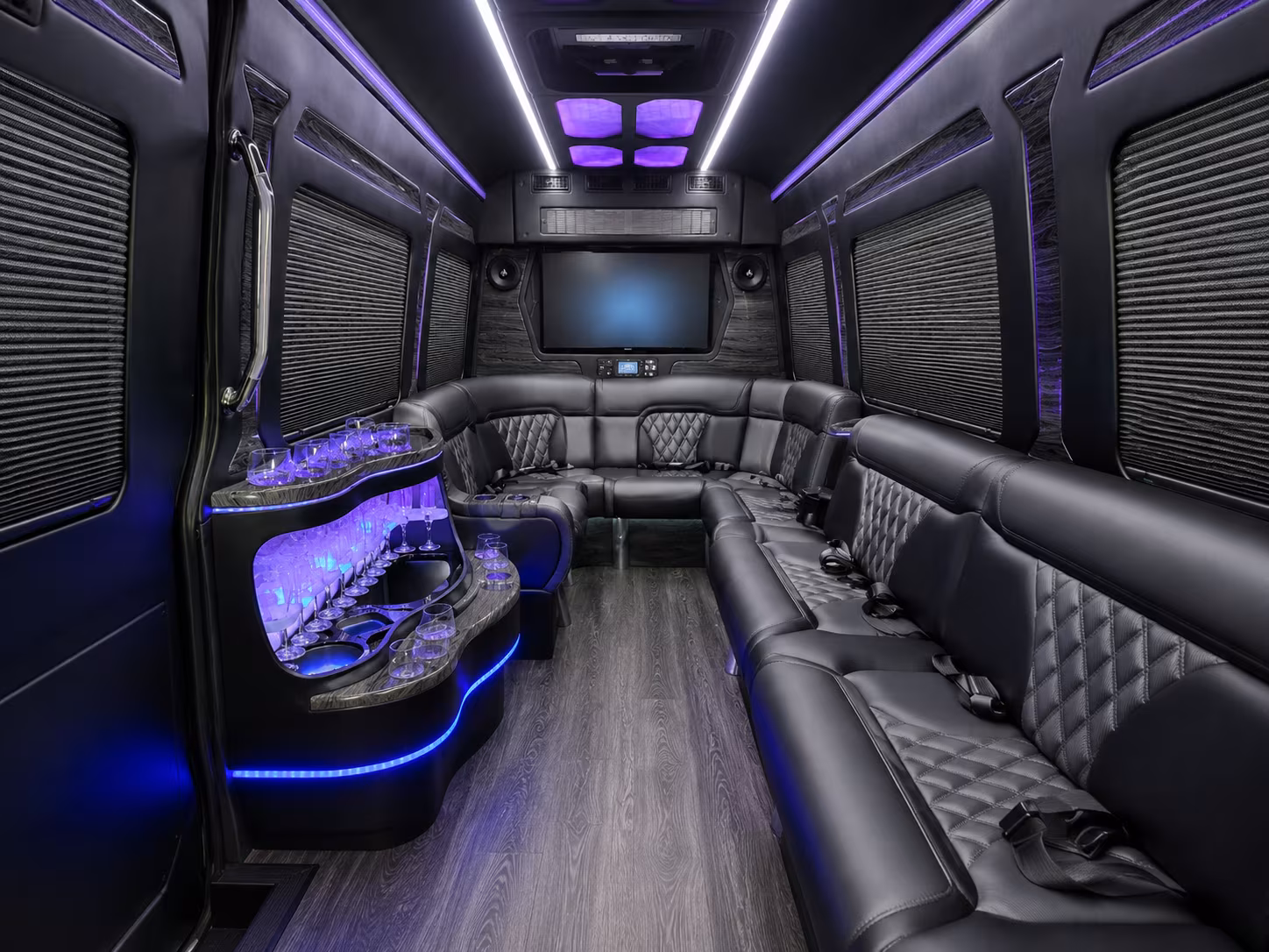chesapeake 28 passenger party bus