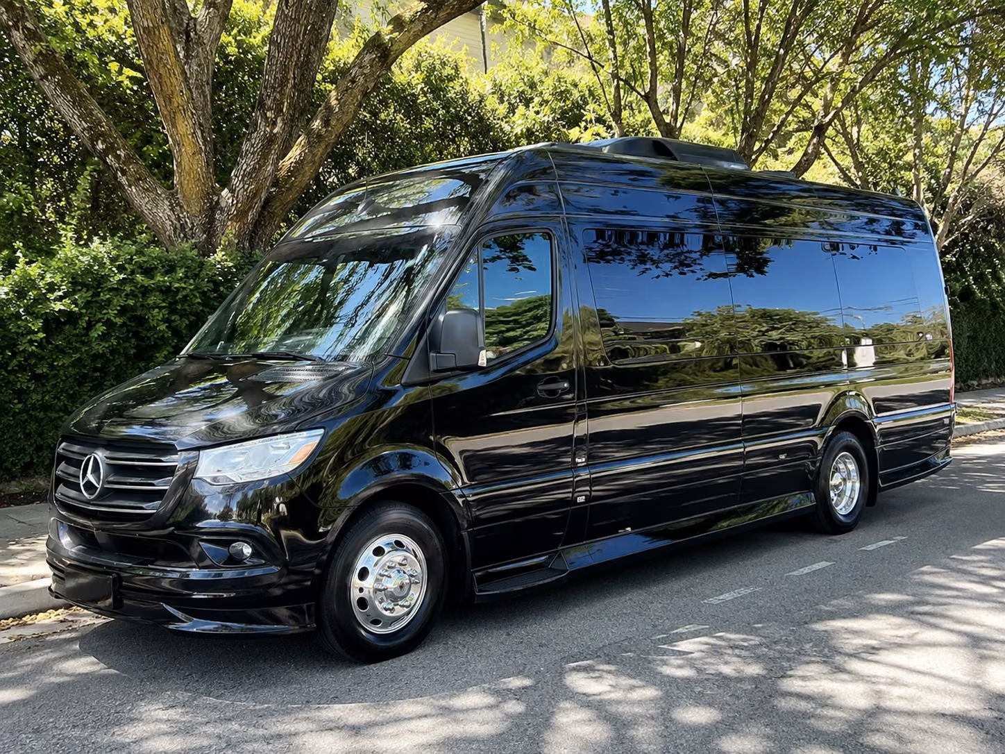 chesapeake sprinter van with driver